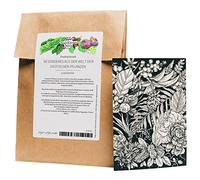 Magic Garden Seeds Coffret de cartes de voeux Highlights - 10 cartes postales au thème : Curiosités du monde des plantes exotiques