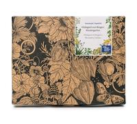 Magic Garden Seeds Coffret de graines Jardin d’Hildegarde de Bingen | Six plantes médicinales médiévales : fenugrec, menthe poivrée, sauge, livèche, fenouil doux et gattilier