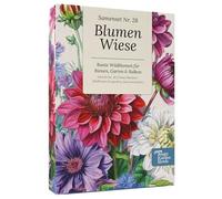 Magic Garden Seeds Coffret de graines prairie fleurie 12 fleurs sauvages | Favorables aux insectes et faciles à entretenir • Pour abeilles et papillons • Pour jardin et balcon