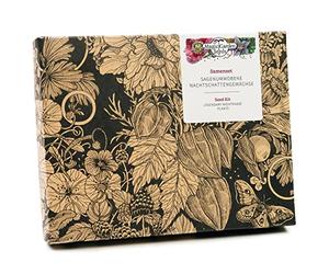 Magic Garden Seeds Coffret de graines Solanacées légendaires, 5 plantes | Trompette des anges, belladone, scopolie et jusquiame noire • Plantes de sorcières légendaires en coffret cadeau