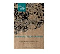 Magic Garden Seeds Graines de cabiose en velours pourpre (Scabiosa atropurpurea), fleur d'été annuelle avec des fleurs profondes et foncées, adaptées aux abeilles, adaptées aux coupures, nostalgiques
