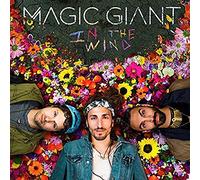 Magic Giant - in The Wind