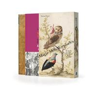 Magic Metamorphosis: The Secrets of a Rare Italian Picture Album Revealed