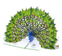 Magic Moments® Carte Pop-Up Majesté du Paon - Grande Carte Anniversaire, Carte de Vœux en 3D - Carte Joyeux Anniversaire avec Enveloppe Originale
