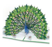 Magic Moments® Carte Pop-Up Majesté du Paon - Grande Carte Anniversaire - Cartes Joyeux Anniversaire avec Enveloppe Originale