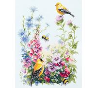 Magic needle 130-031 ZW Sommerlied Kit de point de croix avec motif compté Zweigart Edition, coton, multicolore, 31 x 40 cm