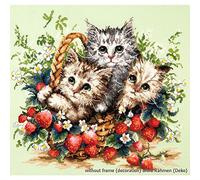 Magic Needle 58-12 Cute Kätzchen Kit de Point de Croix Compté Coton Multicolore 35 x 31 cm