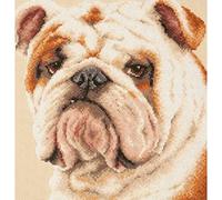 Magic needle 59-21 ZW Bulldog Kit point de croix avec motif compté Zweigart Edition, coton, multicolore, 25 x 25 cm