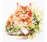 Magic Needle Kit de broderie au point de croix Motif chat rouge 26 x 26 cm