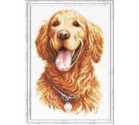 Magic needle ZW Golden Retriever Kit de point de croix avec motif compté Zweigart Edition, coton, multicolore, 20 x 28 cm