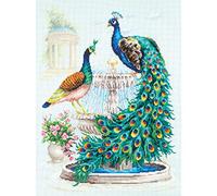 Magic needle Zweigart Edition Kit de broderie au point de croix Motif paon 30 x 40 cm