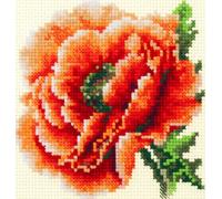 Magic Needle Zweigart Edition kit de point de croix "Poppy", 11x11cm