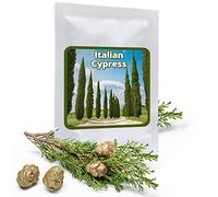 Magic of Nature 100 Graines de Cyprès de Provence - Cyprès d'Italie - Cupressus sempervirens - Rustique - pour Jardin & Balcon