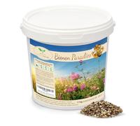 Magic of Nature 1kg Mélange Graines Fleurs - Paradis des Abeilles - Prairie Fleurie Mellifère - Plus de 20 Variétés pour 300 à 500 m²