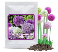 Magic of Nature: Graines d'Ail Géant (60 pces) Allium giganteum Mix Violet et Blanc - Semences Rustiques et Mellifères