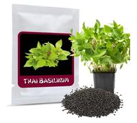 Magic of Nature: Graines de Basilic Thaï 100 Pcs (Ocimum Basilicum)