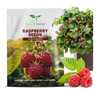 Magic of Nature: Graines de Framboisier Rouge env 50 Pcs | Rubus idaeus - Vivace & Rustique - Autonomie Jardin & Balcon