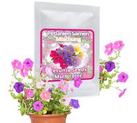Magic of Nature Graines de Pétunia env. 250 Pcs - Mélange Multiflore - Pétunias Colorés - Graine Fleur pour Balcon, Terrasse & Jardin