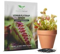 Magic of Nature: Graines de Vénus Attrape-mouche (env. 20 pcs)