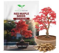 Magic of Nature: Graines d'Érable du Japon Rouge 25 Pcs - Adapté au Bonsaï | Magnifique feuillage pourpre | Arbre d'ornement rustique pour le jardin