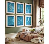 Magic Posters Anatomy Lot de 6 impressions brevetées, décoration de bureau, affiche musculaire anatomique, art mural de clinique, cadeaux d'étudiants en médecine, pour médecins, infirmières,