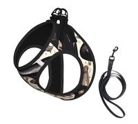 Magic Witchcraft Ensemble harnais et laisse pour chien Imprimé bohème Gilet réfléchissant réglable pour chiens de petite, moyenne et grande taille