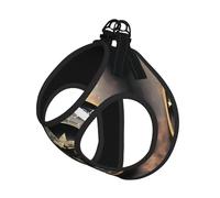 Magical Design Ensemble harnais et laisse en maille réglable pour chiots et chats de petite et grande taille Motif runes nordiques
