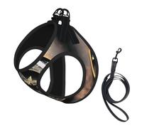 Magical Design Ensemble harnais et laisse en maille réglable pour chiots et chats de petite, petite et grande taille Motif boussole
