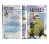 Magical World of British Birds - Bird Seasons