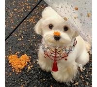 Magicaldiy Collier nuage Hanfu pour animal domestique, motif de danse du lion rouge chinois, châle brodé pour chat, écharpe enveloppante pour le cou (taille moyenne (6-10 kg)