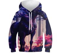 Magicien et Dragon Enfants Sweatshirt Garçons Filles Sweats à Capuche Automne Haut Décontracté Jumper Filles Vêtements Manches Longues Pull Drôle Cool, Licorne, 9-11 ans