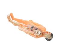 MAGICLULU 1 Ensemble Anatomie Humaine Organes Squelette Amovibles Puzzle Éducatif pour Apprentissage Scientifique
