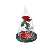 MAGICLULU 1Pièce Bouteille Verre LED Ornement pour Saint Valentin Unique pour Maison Et Anniversaires