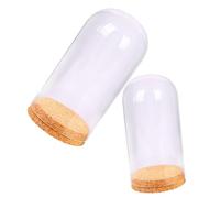 MAGICLULU 4 Ensembles Couvercle en Verre Fleur Stabilisée Bouda Decoration Interieure Décoration Intérieure Pot À Biscuits Plaque Couverture en Verre Délicat en Verre Liège 2 Pièces * 4