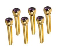 MAGICLULU 6 Pièces Acoustic Guitar Bridge Pins Brass Solid Metal String Pegs For Reliable Fixing And Tone Replacement Parts For Acoustic Guitar Maintenance And Upgrades