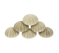 MAGICLULU 6 pièces Déco Bord Mer Coquilles Oursin DIY Décoration Maison Jardinage Ornement Naturel
