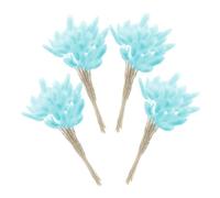 MAGICLULU 60 Queues de Lapin Séchées Bleu Clair, Herbe Pampa Naturelle, Bouquet Décoratif pour Mariage, Maison et Jardin, Plantes Séchées pour Compositions et Décoration Intérieure