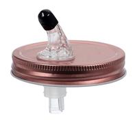 MAGICLULU Bec verseur à vin avec couvercle Mason Shaker Pichets transparents Couvercle de casserole Large Bouche Verre Bec Verseur Mini bocaux Bouteille Pompe Fer Blanc