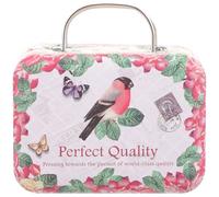 MAGICLULU Boîte à Cosmétiques Rétro en Métal Poignée, Mini Coffret de Rangement pour Faux Cils, Petit Organisateur Portable pour Voyage et Usage Quotidien, Présent Polyvalent