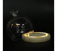 MAGICLULU Couvercle en Verre 12 CM Socle en Bois pour Fleur Éternelle Décoration Anniversaire et Mariage Couverture de Dessert et Rangement Décoratif pour Fête Set Décoratif