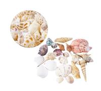 MAGICLULU Décoration Naturelle Coquillages pour Aquarium Décor de Poissons Matériaux Naturel pour Bricolage et Décoration Intérieure Grand Format