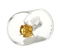 MAGICLULU Figurine De Rose Fleurs sous Cloche Verre Fleur De Rose Cristal Bouquet De Statue De Faite Main
