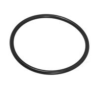MAGICLULU Joint Torique O-ring de Remplacement pour Chlorinateur Anneau Étanchéité pour Couvercle de Distributeur de Rechange pour Système de Chloration Piscine