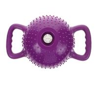 MAGICLULU Kettlebell D'entraînement Physique Remplissable D'eau, Haltère pour L'entraînement, Pvc Pourpre, 4lb à 12lb, Poignée Double, pour Yoga et Workouts
