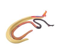 MAGICLULU Modèle Anatomique de Schistosoma Modèle Éducatif Animal pour Cours de Outil Didactique Démontable et Réaliste pour Enseignement Recherche