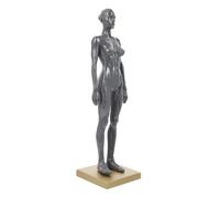 MAGICLULU Modèle Anatomique Musculaire Féminin pour Étude Outil Pédagogique pour Écoles et Artistes Figure Détaillée Du Système Musculaire Couleur Aléatoire