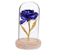 MAGICLULU Ornement De Fleurs Éternelles LED sans Flamme Artificielle Présente Lumières à La Conduite pour Elle des Roses Dirigé Romantique Préservé Bleu Un Verre