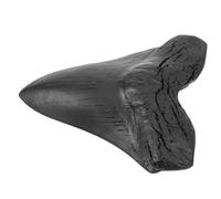 MAGICLULU Réplique Dents Mégalodon Géant en Résine Décor Paléontologie Éducatif Collection Ornements Accessoire pour Maison Et Stage D'enseignement