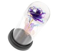 MAGICLULU Rose Éternelle avec Fleur Préservée Métal Verre Éternel De Saint-Valentin Plastique