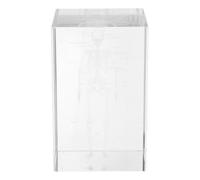 MAGICLULU Squelette Humain Modèle Anatomique en Cristal Gravure Interne Cube Verre pour Bureau et Apprentissage Scientifique